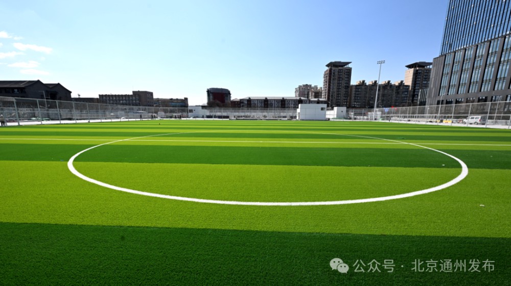 为什么篮球运动员需要学会管理情绪_0